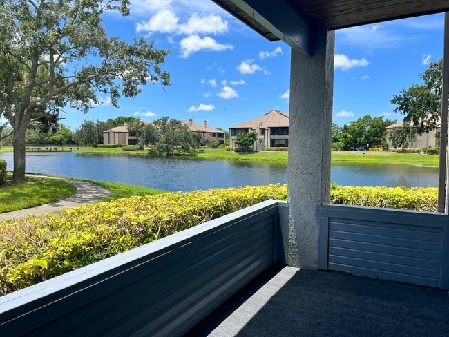 property at 10263 Gandy Blvd N