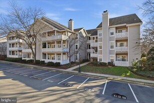 14317 Climbing Rose Way in Centreville, VA - Building Photo
