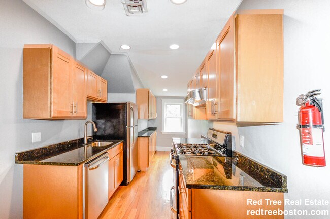 231 Chestnut Hill Ave, Unit #3 in Boston, MA - Building Photo - Building Photo