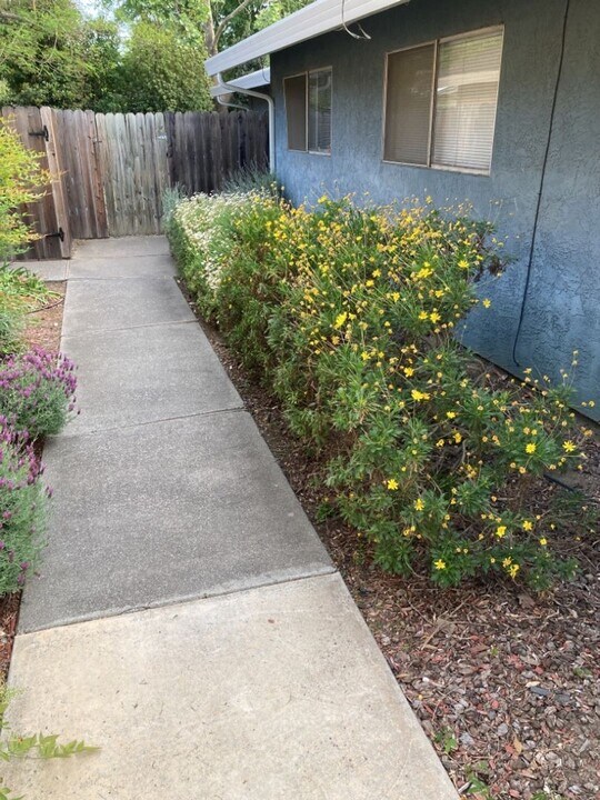 2118-2118 E 8th St in Davis, CA - Foto de edificio