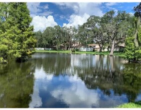 8001 Hibiscus Dr in Tampa, FL - Building Photo - Building Photo