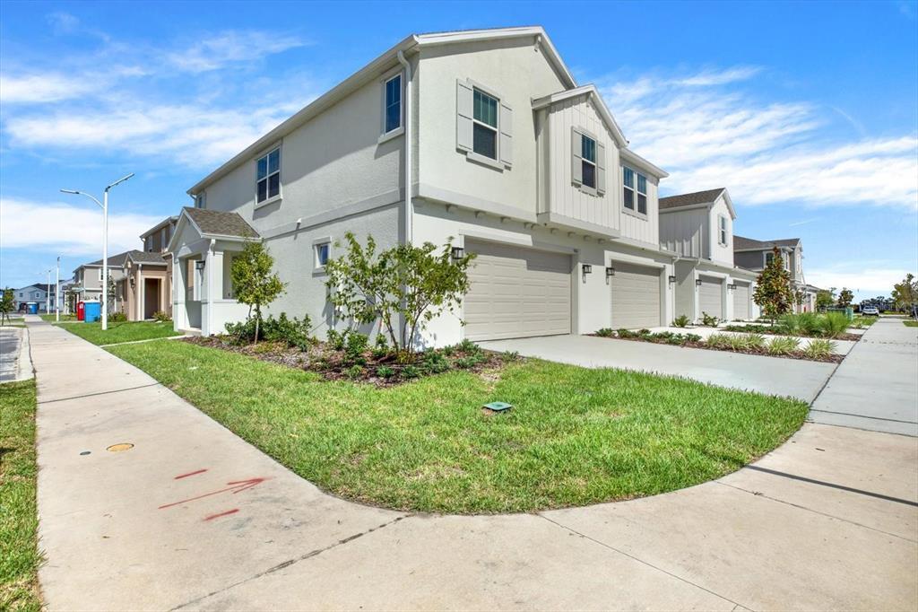 31867 Sunshine Barley Ln in Wesley Chapel, FL - Building Photo