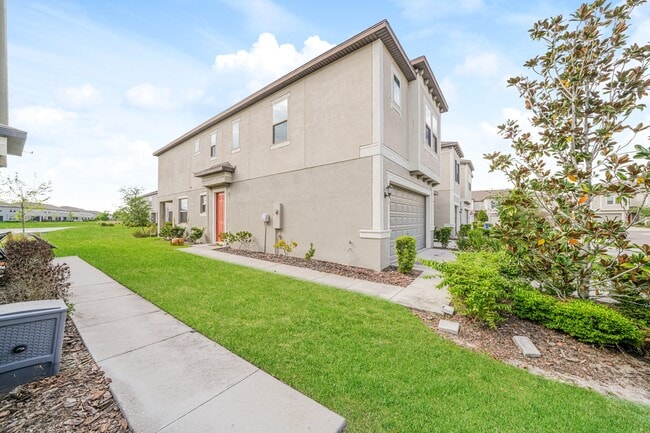 8077 Rolling Shell Trail in Wesley Chapel, FL - Building Photo - Building Photo