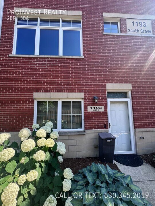 1193 Grove in Oak Park, IL - Building Photo