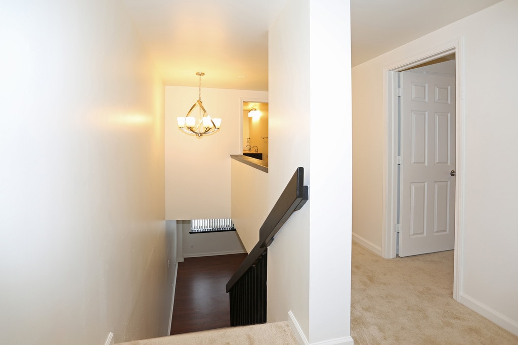 Village Pines Apartments in Orchard Park, NY