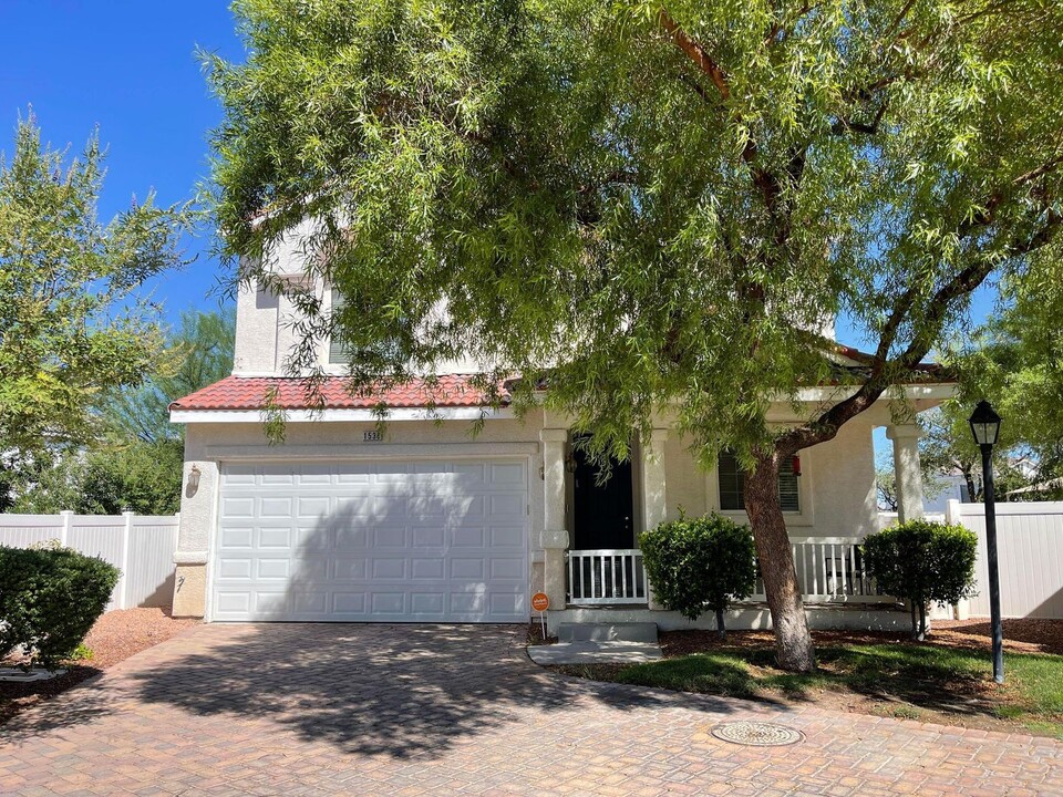 1538 Tillman Falls Ave in Las Vegas, NV - Building Photo