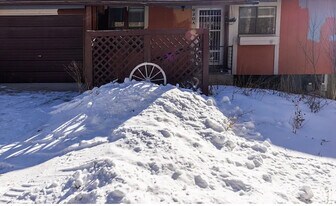 620 Straight Creek Dr in Dillon, CO - Building Photo