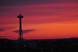 1202 Lakeview Blvd E, Unit 8 in Seattle, WA - Building Photo - Building Photo