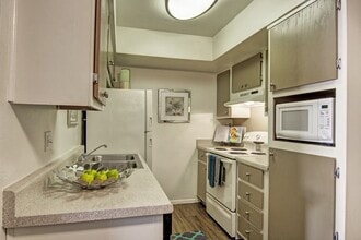 Paradise Falls in Phoenix, AZ - Foto de edificio - Building Photo