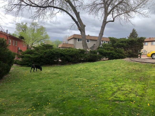 2145 King St, Unit 02 in Colorado Springs, CO - Building Photo - Building Photo