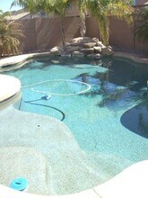 2333 W Mila Way in Queen Creek, AZ - Building Photo - Building Photo