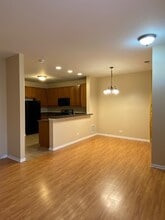 266 Springbrook Trail S in Oswego, IL - Building Photo - Building Photo
