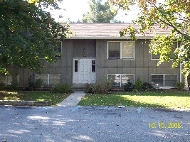 6011 Willow Spring Rd in Harrisburg, PA - Building Photo