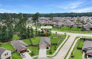 7103 Blue Oak Dr in Conroe, TX - Building Photo