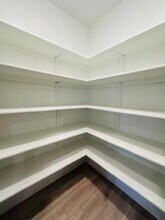 15113 Siberian Elm Ln in Austin, TX - Building Photo - Building Photo