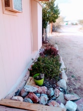 16020 N Ave Del Canada in Tucson, AZ - Building Photo - Building Photo