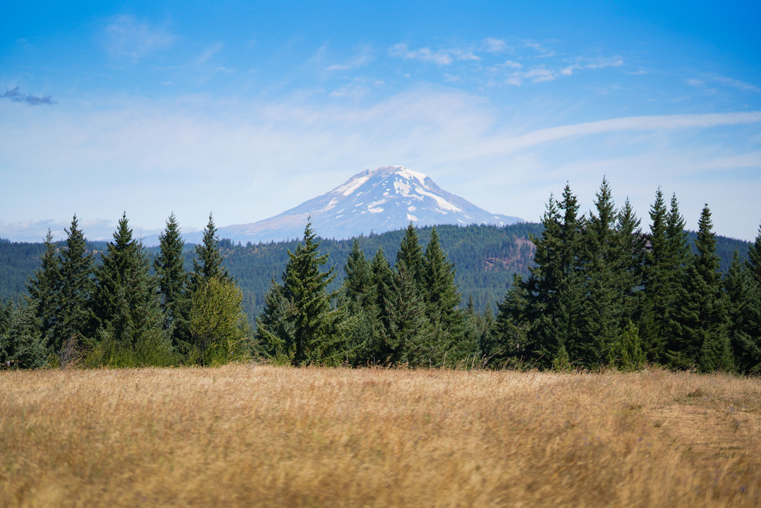 1381 Snowden Rd in White Salmon, WA - Building Photo