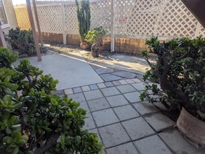 216 Melrose Dr in Oxnard, CA - Building Photo - Building Photo