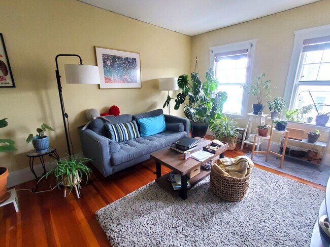 property at 19 Edward Sullivan Rd