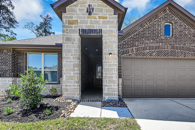 14384 Zion Gate Crossing in Shenandoah, TX - Building Photo - Building Photo