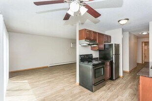 River Ridge Apartments in Burnsville, MN - Building Photo