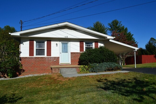 113 Harrell Rd in Johnson City, TN - Building Photo - Building Photo
