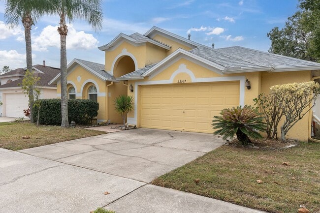 22537 Roderick Dr in Land O Lakes, FL - Building Photo - Building Photo