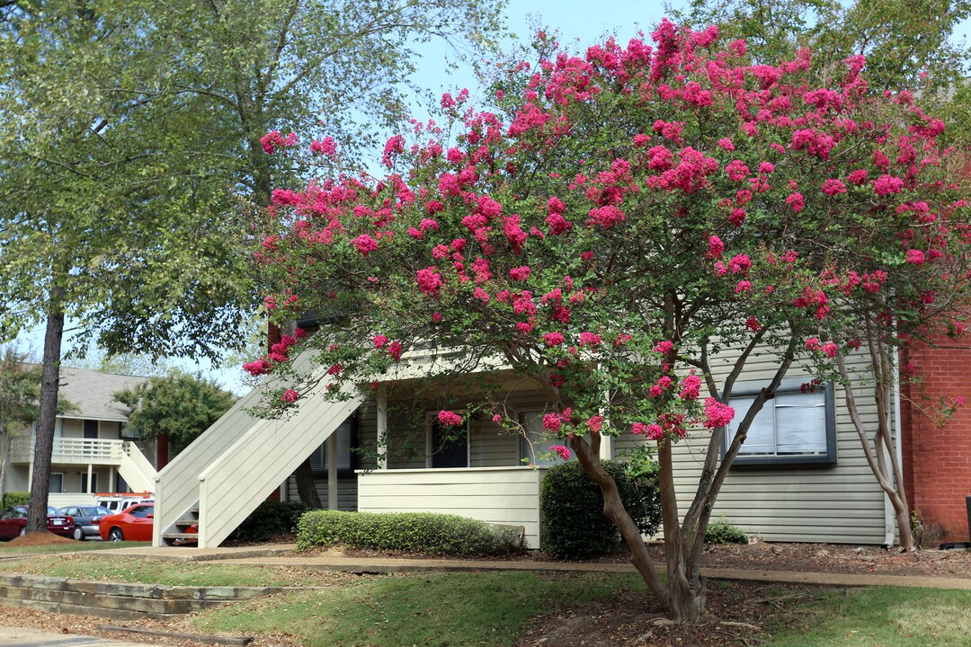 ReNew on Ridgewood Apartments in Jackson, MS - Building Photo