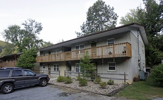 221-235 Spring Valley Rd in Pigeon Forge, TN - Building Photo