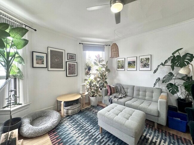 2 Chicora Ave in Toronto, ON - Building Photo - Building Photo