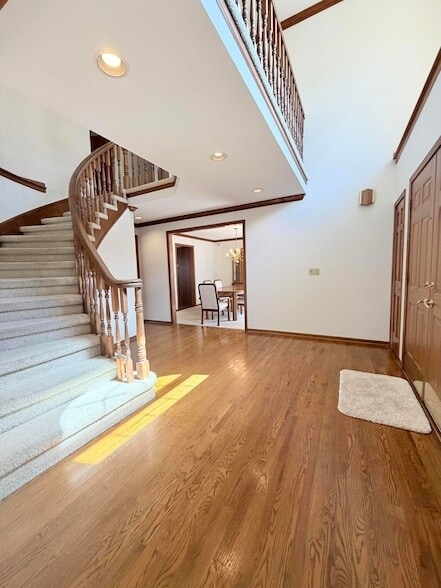 43532 Scenic Ln in Northville, MI - Building Photo - Building Photo