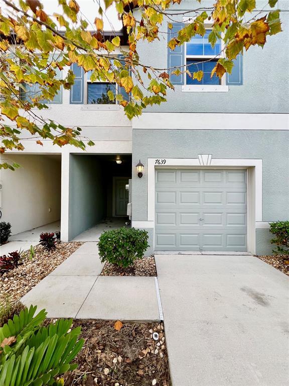 7639 Ginger Lily Ct in Tampa, FL - Building Photo - Building Photo