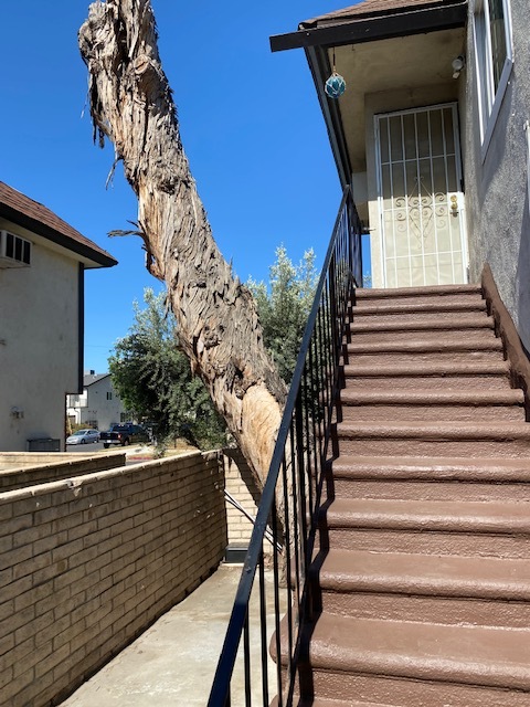 7342 Ventura Canyon Ave in Van Nuys, CA - Building Photo - Building Photo