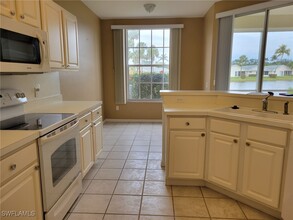 15042 Tamarind Cay Ct in Ft. Myers, FL - Building Photo - Building Photo