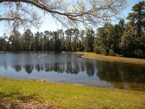 18221 Corner Meadow Cir in Orlando, FL - Building Photo - Building Photo