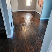 735 18th St S in St. Petersburg, FL - Building Photo - Building Photo