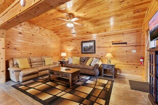 3905 Fern Brook Way in Sevierville, TN - Building Photo