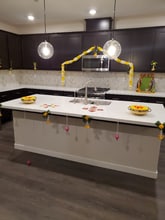 862 Shearwater Rd in Lathrop, CA - Building Photo - Building Photo