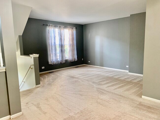 929 Summit Creek Dr in Shorewood, IL - Building Photo - Building Photo