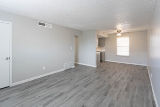 Paso Norte Apartments in El Paso, TX - Building Photo - Building Photo