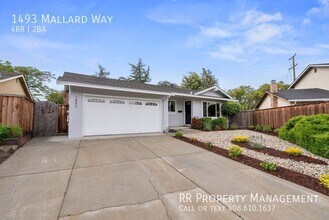 1493 Mallard Way in Sunnyvale, CA - Building Photo - Building Photo