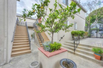 8730-8736 Holloway Dr in West Hollywood, CA - Building Photo - Interior Photo