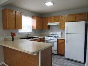 1202 N Red Oak Cir in Round Lake Beach, IL - Building Photo - Building Photo