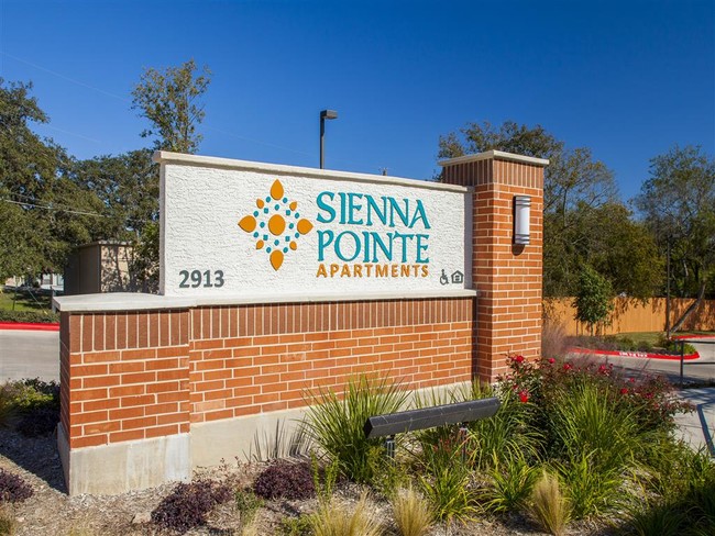 Sienna Pointe in San Marcos, TX - Building Photo - Building Photo