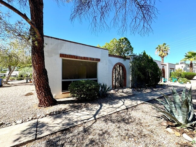 1002 N Camino Las Solanas in Tucson, AZ - Building Photo - Building Photo