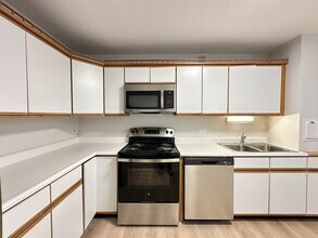 1349 N Dearborn St in Chicago, IL - Building Photo - Building Photo