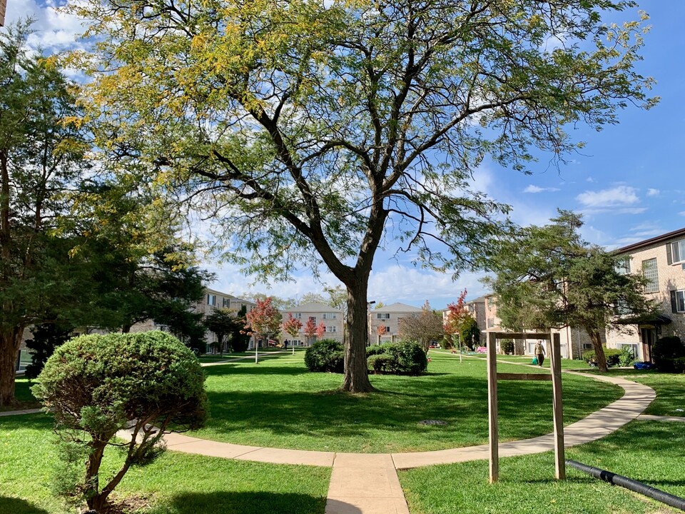 10408 Michael Todd Terrace-Unit -2E in Glenview, IL - Building Photo