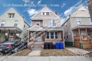 3139 Perkins Ave in Cleveland, OH - Building Photo