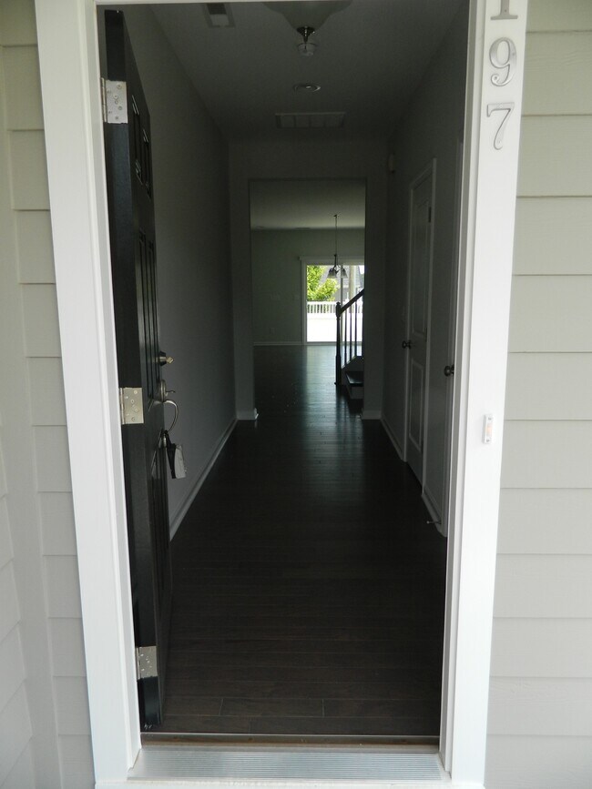 1197 Little Gem Ln in Apex, NC - Building Photo - Building Photo
