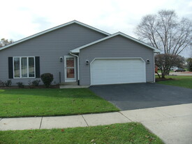 11313 Douglas Ave in Huntley, IL - Building Photo